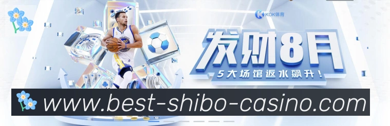 互动解说服务